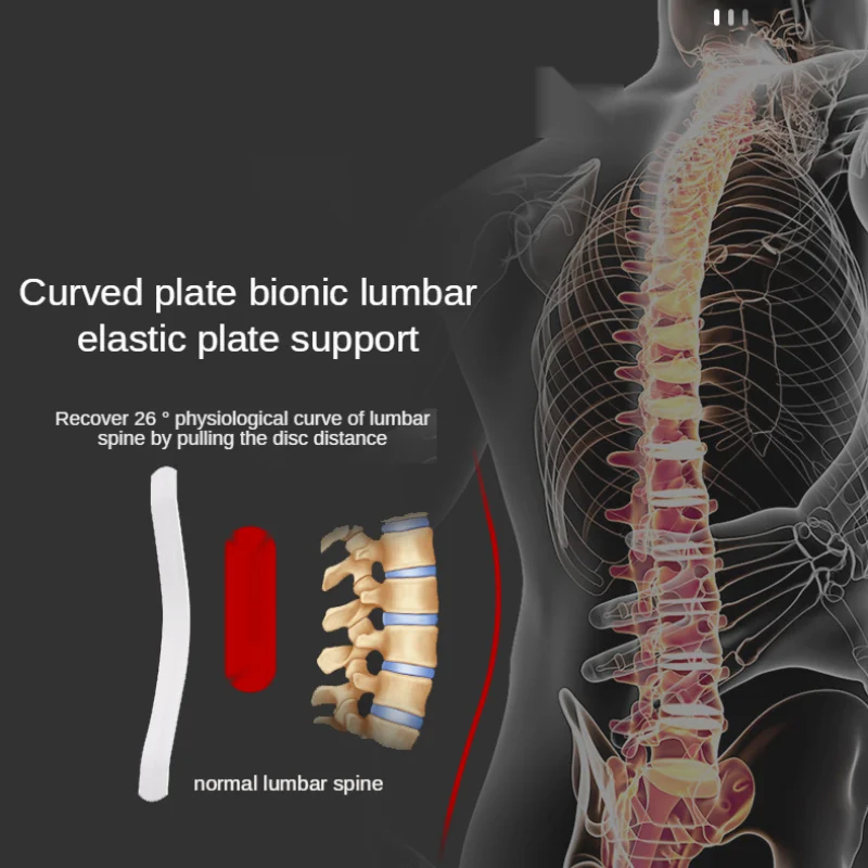 

Waist Trainer Magnetic Belt Adjustable Lower Back Brace Spine Support Orthopedic Breathable Lumbar Corset