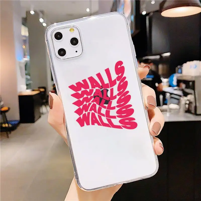 

One Direction Louis Tomlinson Phone Case Transparent soft For iphone 5 5s 5c se 6 6s 7 8 11 12 plus mini x xs xr pro max