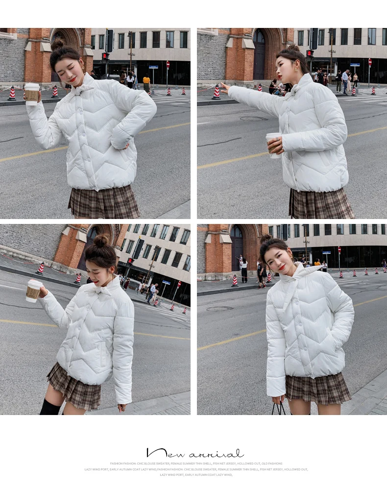 

Nice Winter New Fashion Down Cotton Jacket