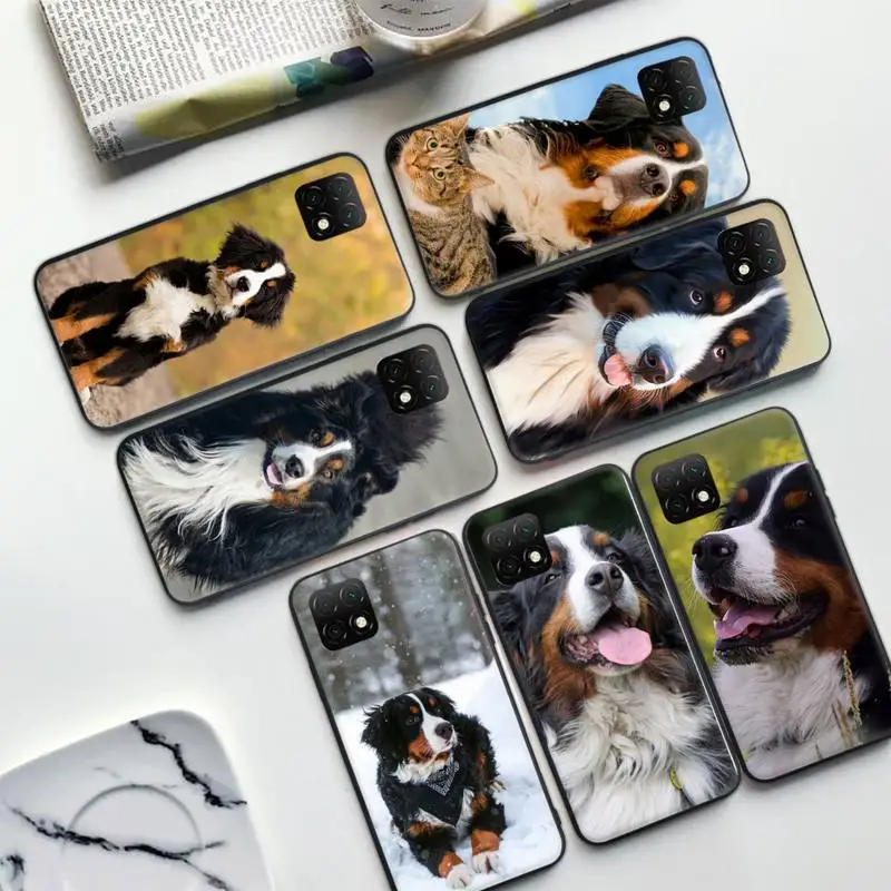 

Funny Bernese Mountain Dog Phone Case For Samsung A51 A52 A71 A72 A80 A91 A01 A02 M02s A11 A12 A21S A31 Shell A32 A20E Cover