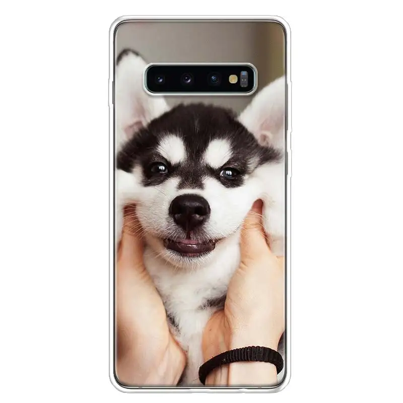 Чехол для Samsung Galaxy S10 Plus S20 FE S21 S22 Ultra S10E S9 S8 + S7 Edge J4 | Мобильные телефоны и аксессуары