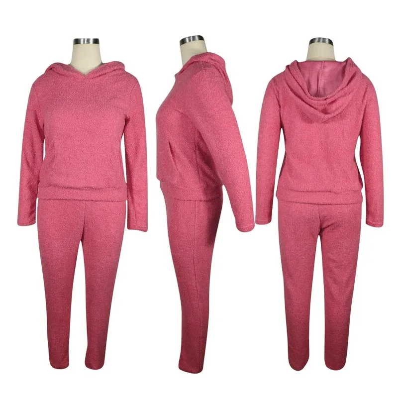 

Women Solid Plush Thick Hoodies Two Piece Set Fleece Hooded Long Sleeve Pocket Sweatshirts Top Pencil Pants Casual Tracksuit