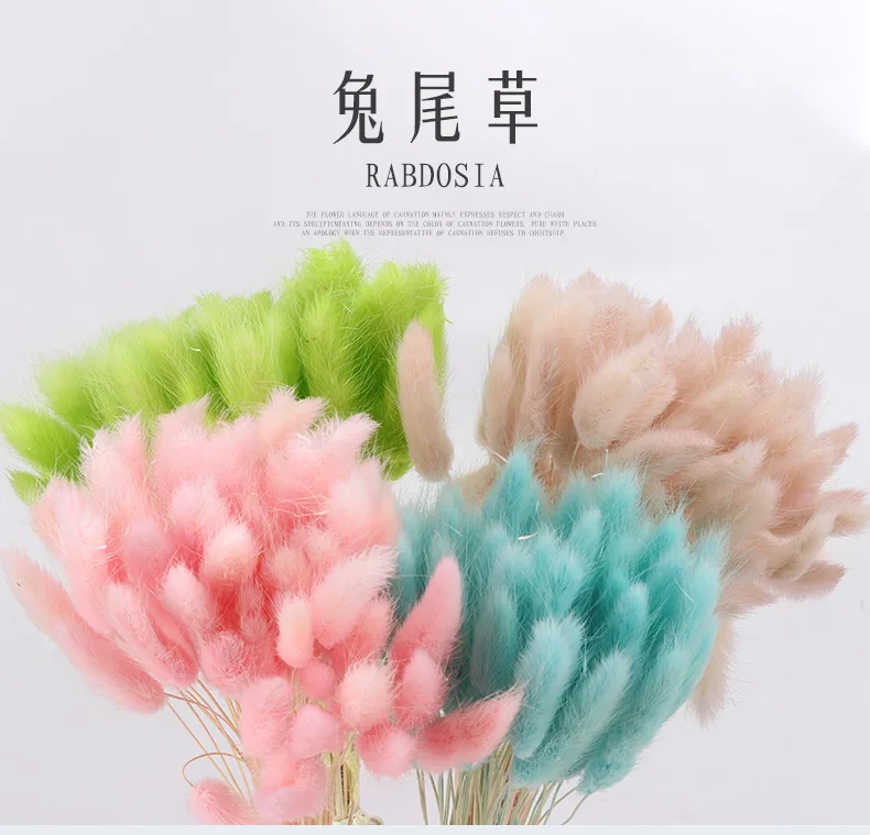 

60/100Pcs Dried Natural Flower Bouquets, Real Rabbit Tail Grass&Lagurus ovatus For Home Garden Coloful, Festive Party Supplies
