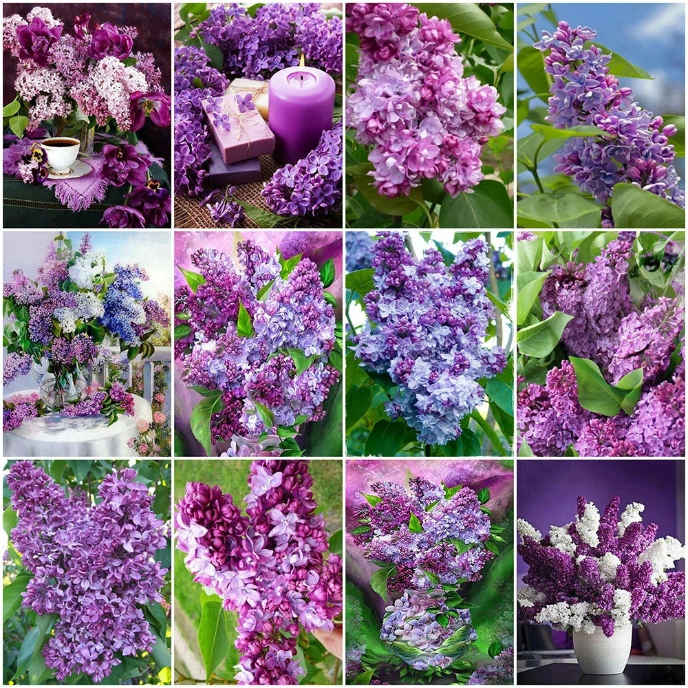 

5D DIY Lilac Flower Diamond Painting Square Round Rhinestone Hobby Crafts Mosaic Handmade Gifts Cross Stitch Home Decoration