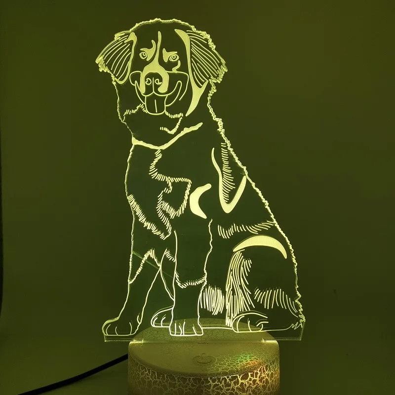 

Креативные 3D ночники, акриловый Настольный светодиодный ночник с цветным RGB, праздничный подарок, декоративная лампа для спальни Бернской г...