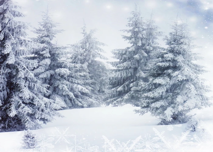 

Winter photography background snow forest photography backdrop wilderness photo backdrops for Photo studio vinyl props