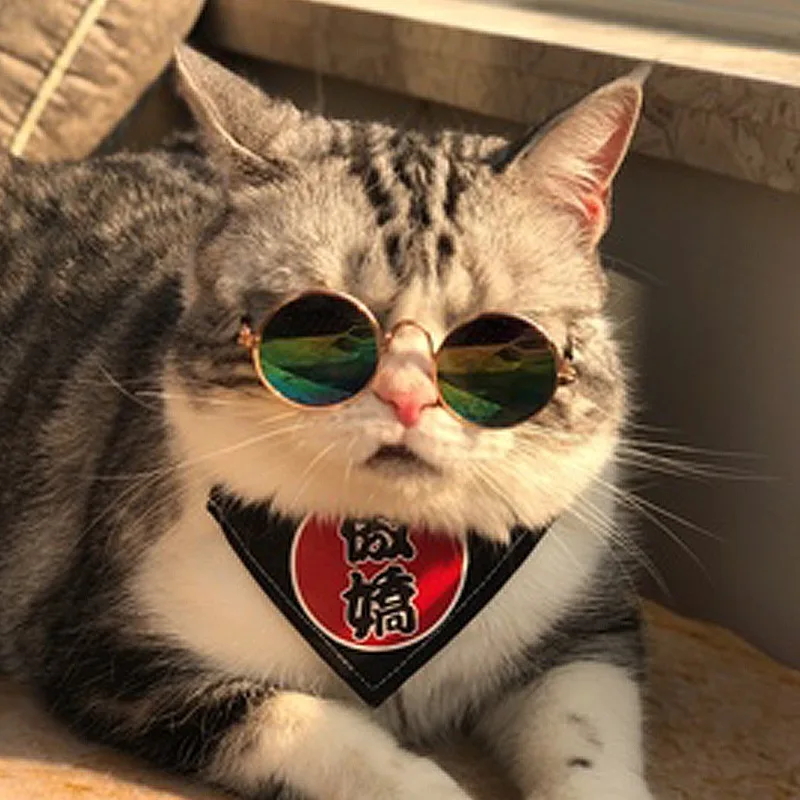 

Pet Products Lovely Vintage Round Cat Sunglasses Reflection Eye wear glasses For Small Dog Cat Pet Photos Props Accessories