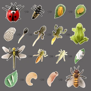 Модель цикла роста животных, петух, саранча, дождевой червь, улитка, фигурки героев, симпатичный детский подарок, обучающие игрушки для детей