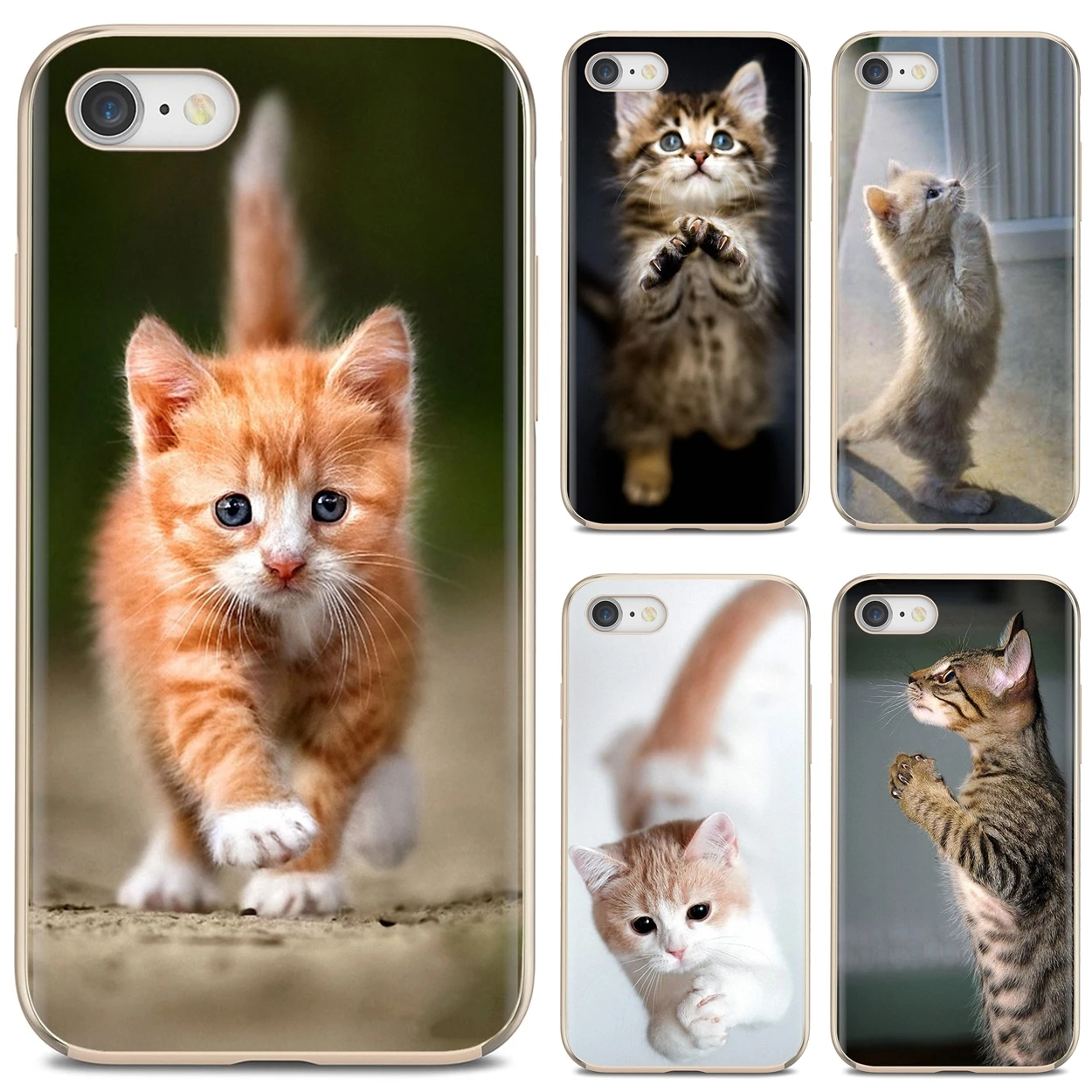 

Soft Bag Case Pretty Praying Kittens Cats Print For iPhone iPod Touch 11 12 Pro 4 4S 5 5S SE 5C 6 6S 7 8 X XR XS Plus Max 2020