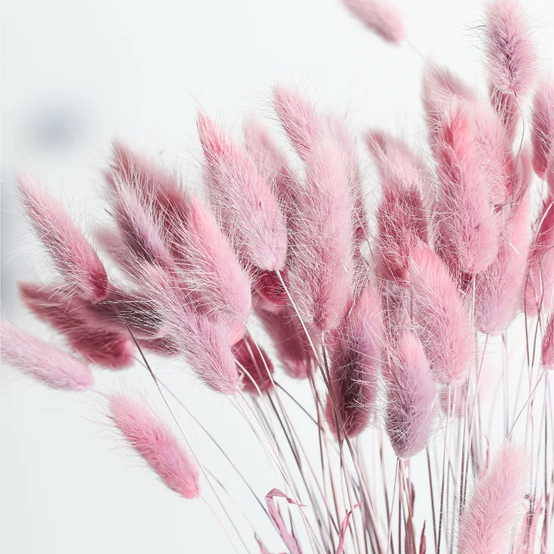 

1Bunch Lagurus Ovatus Rabbit Tail Grass Real Multi-Color Natural Preserved Dried Flower Bouquet Home Desktop Chrismas Decoration