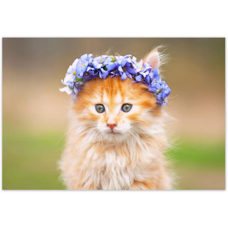 

Тканевые постеры и принты на холсте с изображением кошки на цвете, 20 х30 см, 27 х40 см, 30 х45 см