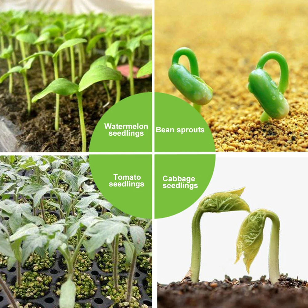 24 ячейки ванны для выращивания растений завод поддон проращивания детские