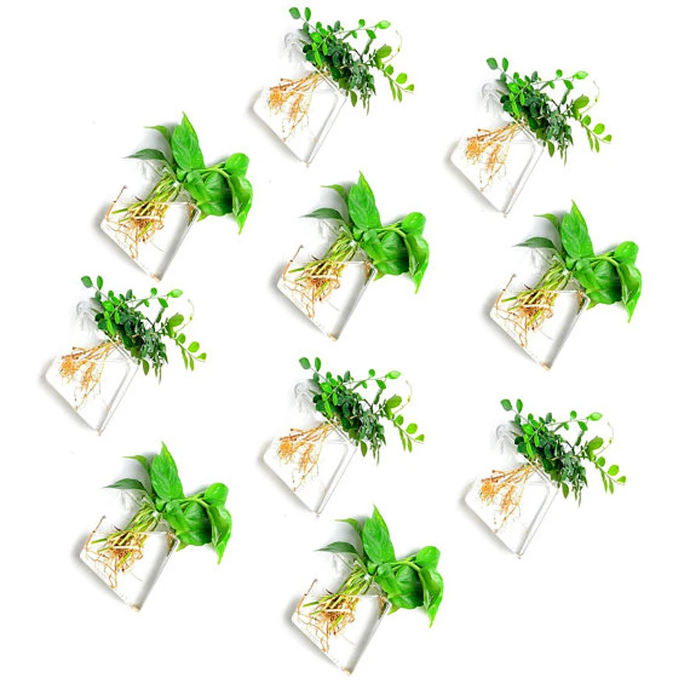 Новая прозрачная стеклянная настенная ваза настенный подвесной растительный