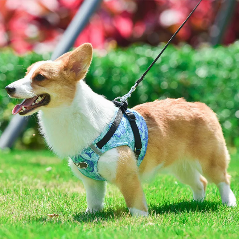 Товары для домашних животных поводок собак Комплект жилет нагрудный ремень из