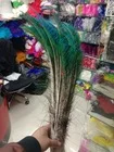 

Wholesale 100 Pc High Natural Quality Peacock Feathers 50-70cm / 20-28inch Wedding Decorative