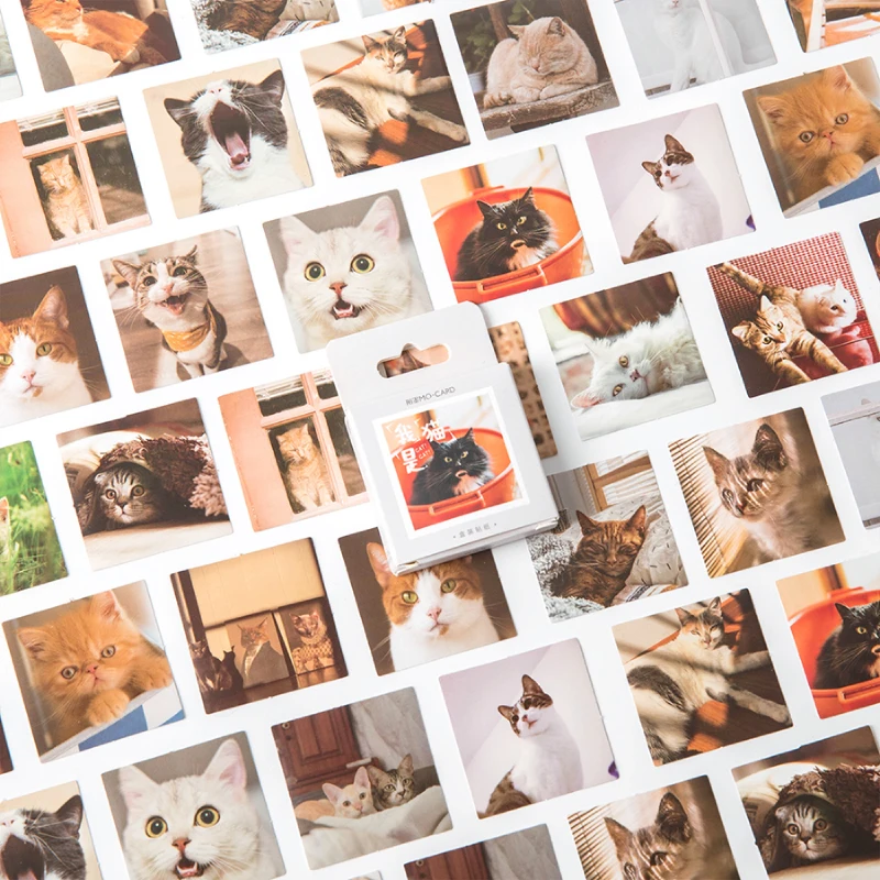 

46pcs Cute Lomo Cat Stickers Set Mini Kwaii Kitties Photo Note Sticker Home DIY Art Decoration Adhesive Diary Album Gift A6854