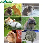 AZQSD 5D алмазная картина кролик мозаика картина Стразы ручной работы подарок Алмазная вышивка Продажа Декор животных для дома