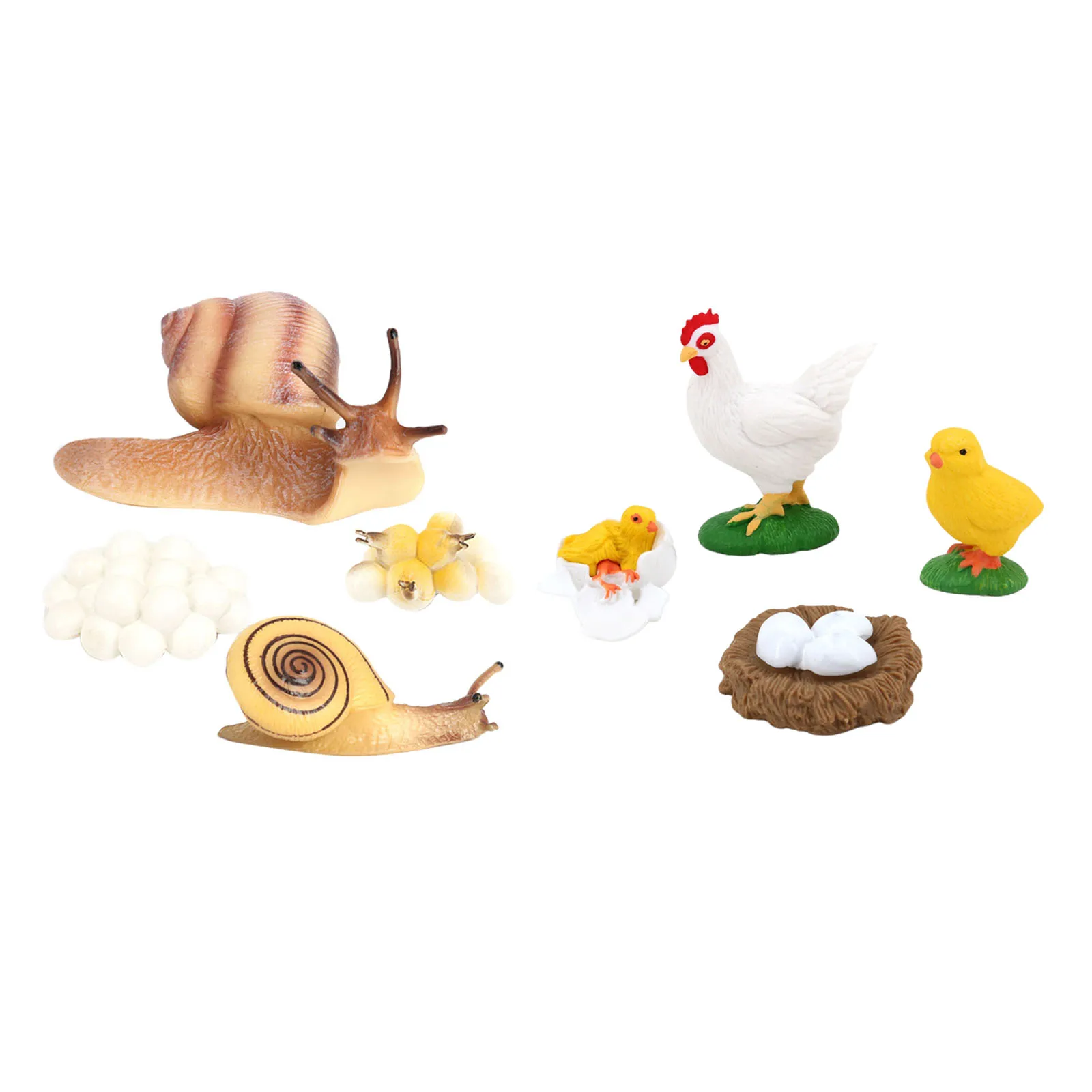 

2 Set Nature Life Cycle of Snail Hen Growth Figurine Education Learning Toys