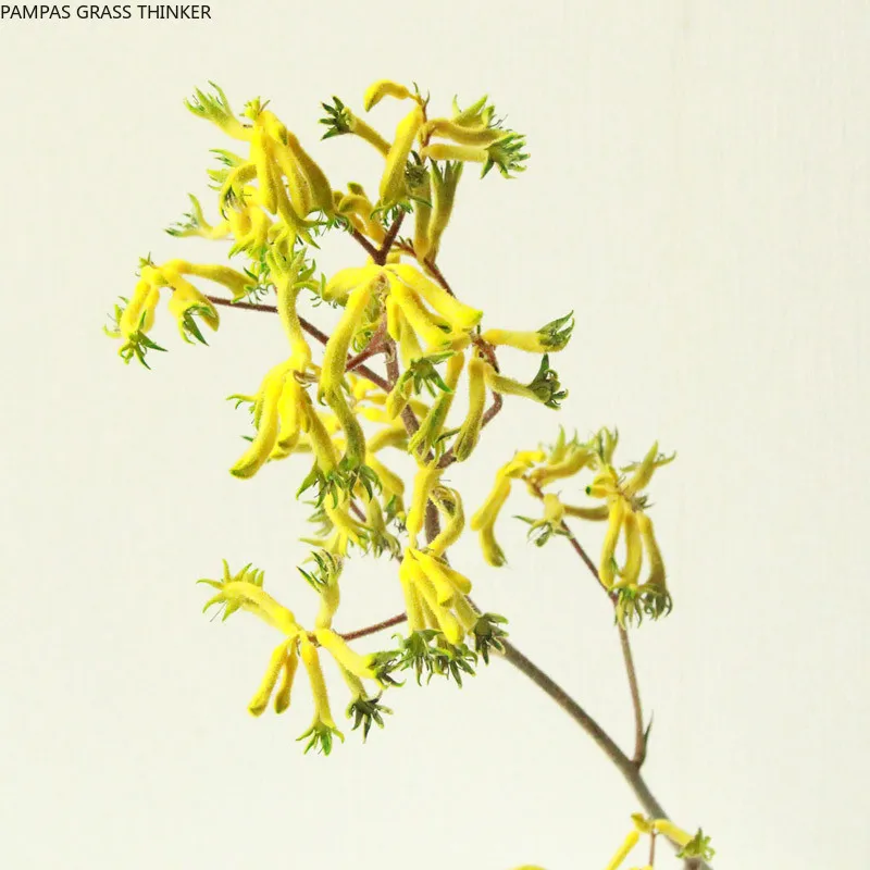 Букет из цветов в виде кенгуру 6 шт. | Дом и сад