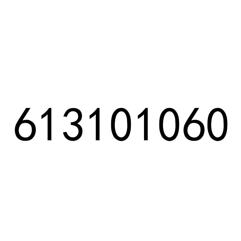 

613101060