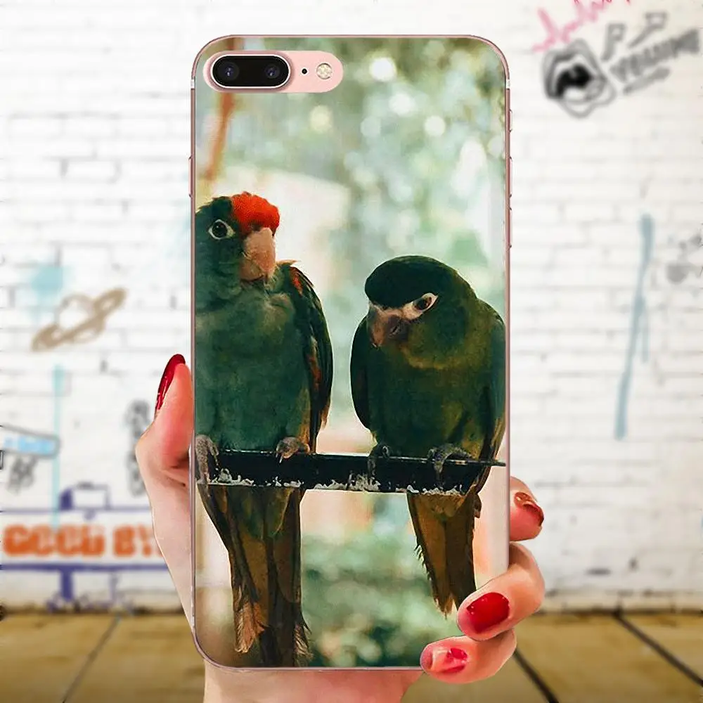 Говорящая птица милые аксессуары для телефона чехол Xiaomi Redmi Note 8 8A 8T 10 K30