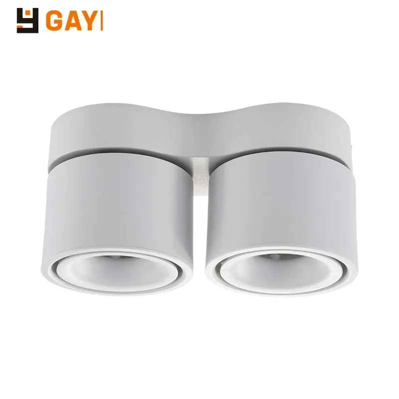 

GAOYI Round LED COB Downlight14W/20W Rotating LED Spot Light Ceiling Lamp with LED Driver AC110V/220V Dimmable Surface Mounted