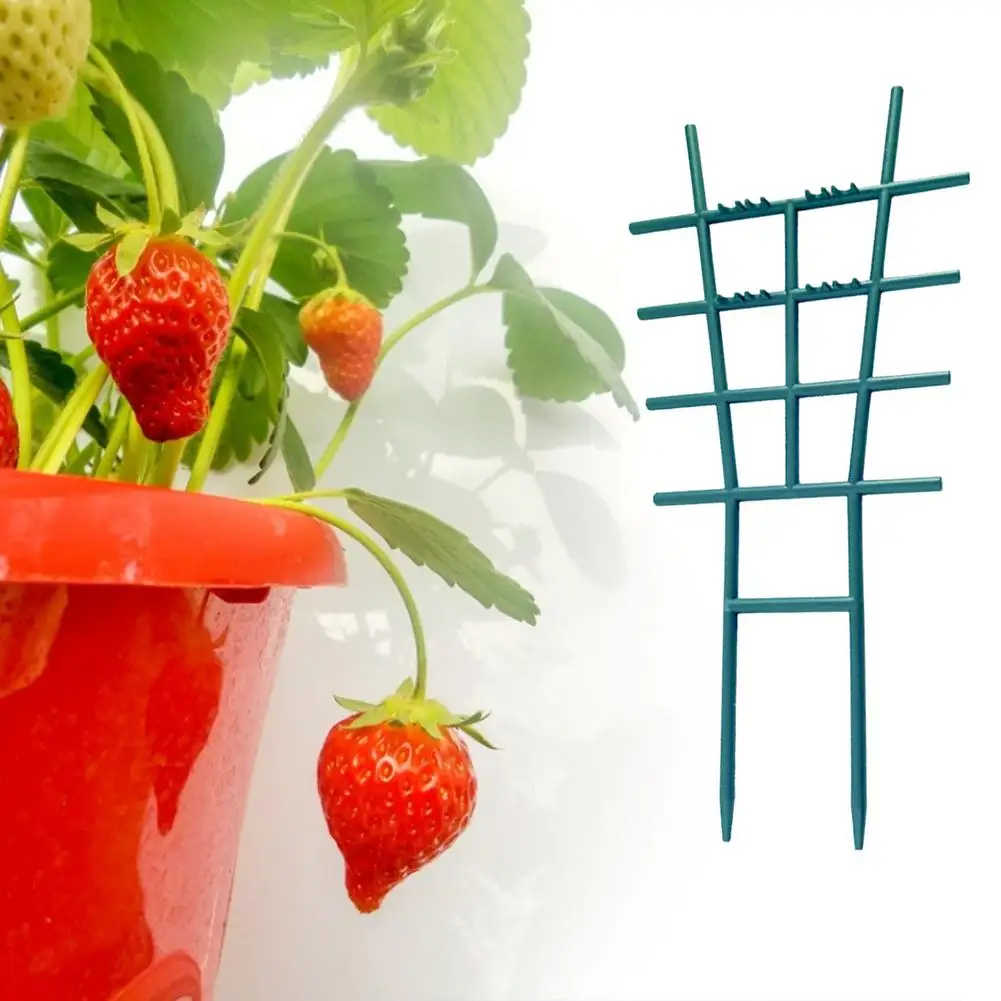 

Creative Vine Climbing Rack Flower Decorative Gardening Tools Green Agriculture Vegetables Plant Trellis Plant Support Frame