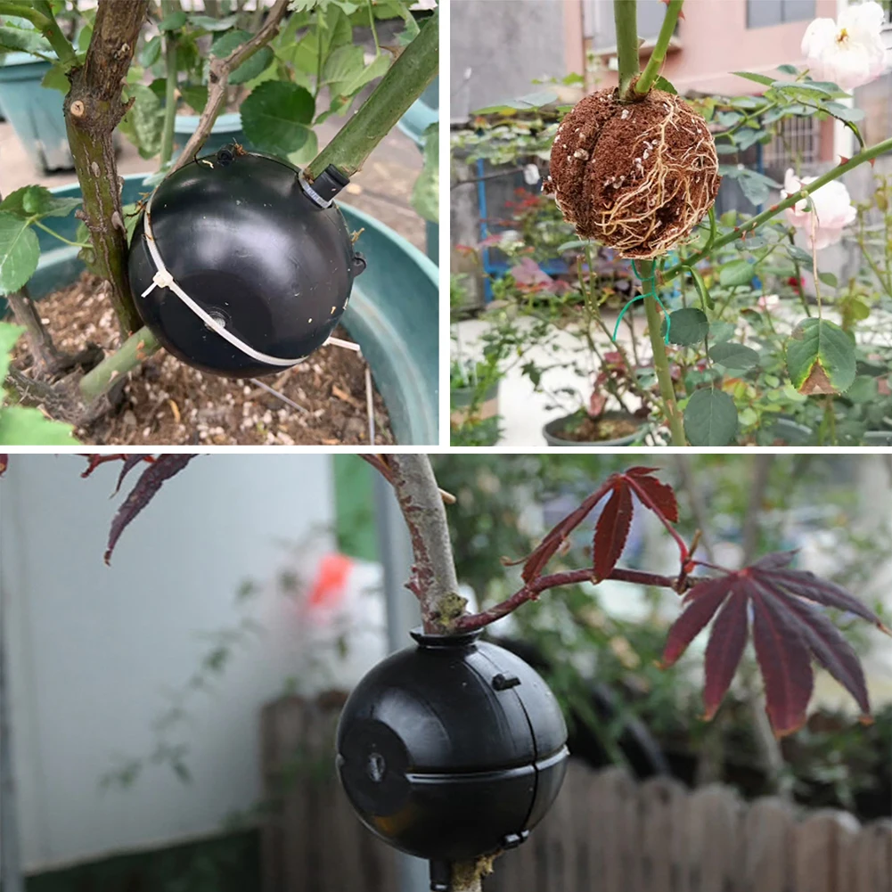 

5pcs Plant High Pressure Box Plant Grafting Box Cutting Grafting Rooting Box for Indoor Outdoor Plants Asexual Reproduction Ball