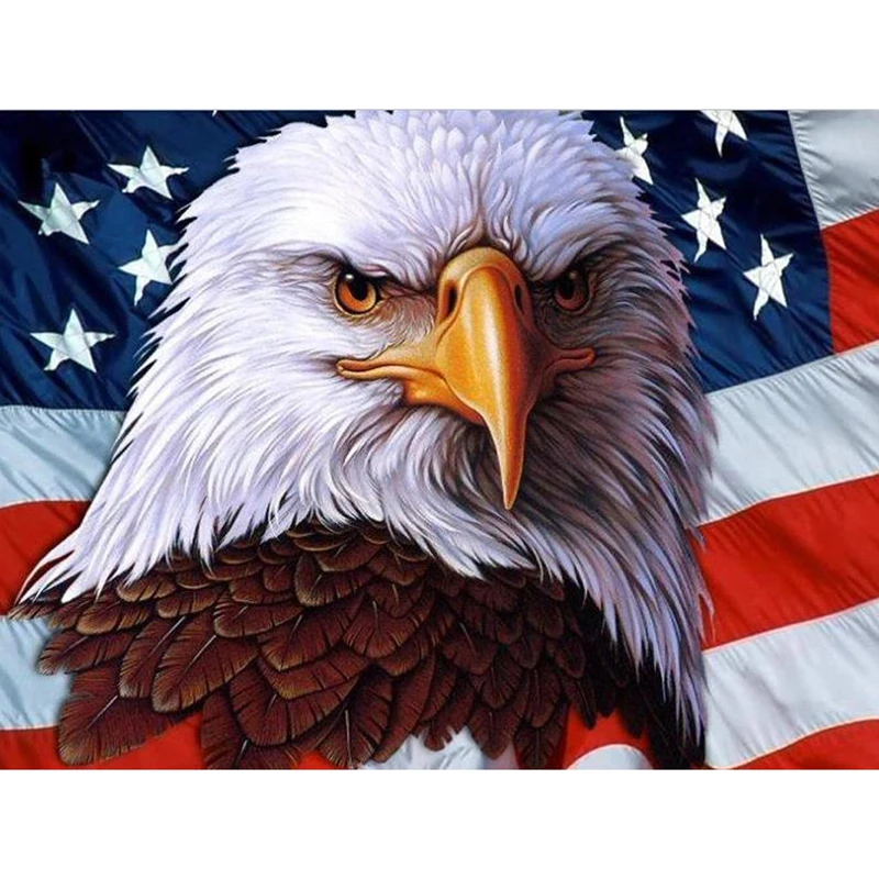 Полный 5D Diy Daimond картина &quotAmerican Eagle&quot 3D алмазов круглые стразы Diamant живопись
