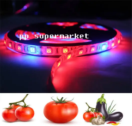 5 м светодиодный лампы полный спектр Светодиодные ленты света 300 s 5050 Чип Grow Lights