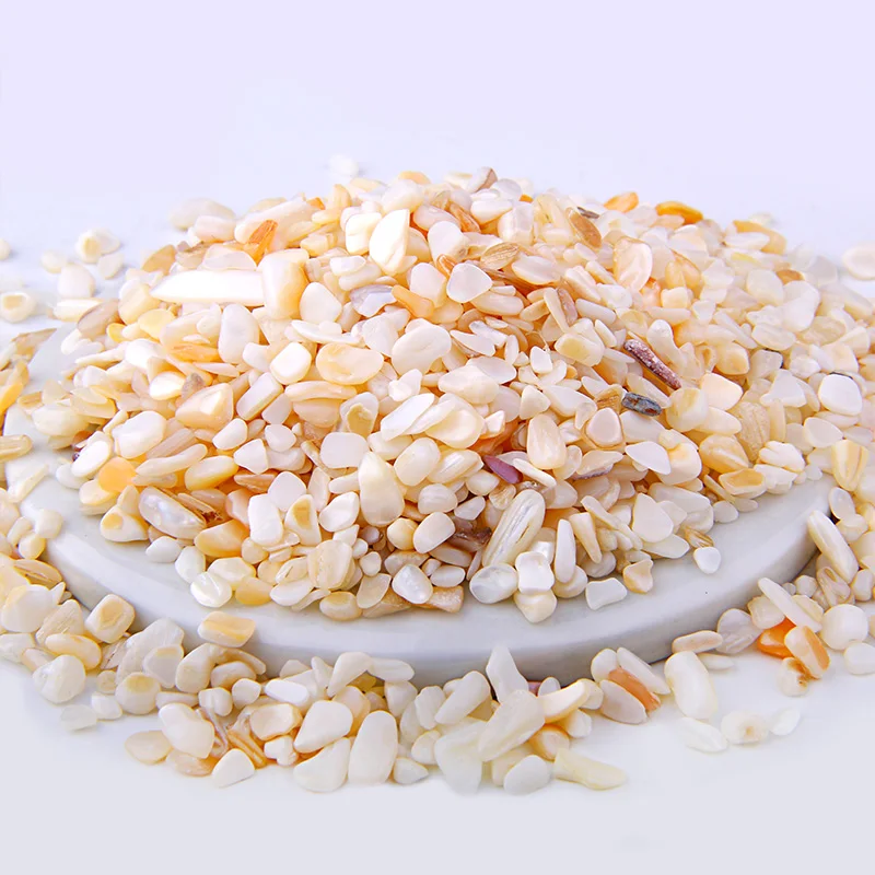 Shell Beads Разноцветные Бусины 3-5 мм, 20 г, 50 г, 100 г, смешанный природный гравий, кристалл, бисер, неправильный энергетический драгоценный камень, бусины для рыбного бака, бонсай, украшение - Цвет: Shell Beads