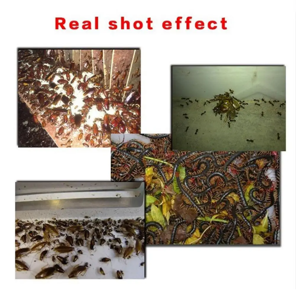 Суперэффективный порошок для уничтожения тараканов средство муравей паук