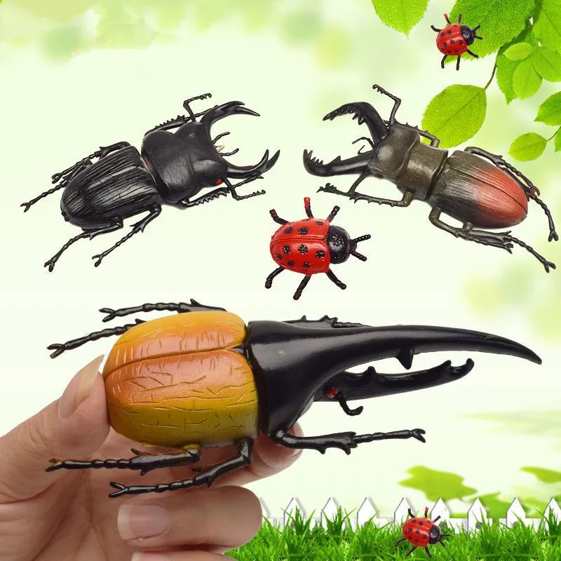 

Simulation Solid Static Insect Model Ornaments Realistic Beetle Toy Animal Action Figures Kids Toy