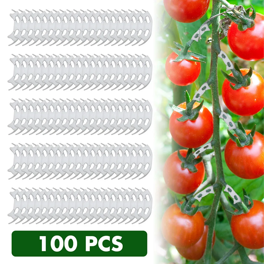 

White Clips Accessories Anti-Bending Clip Fixing Fruit Garden PP Plant