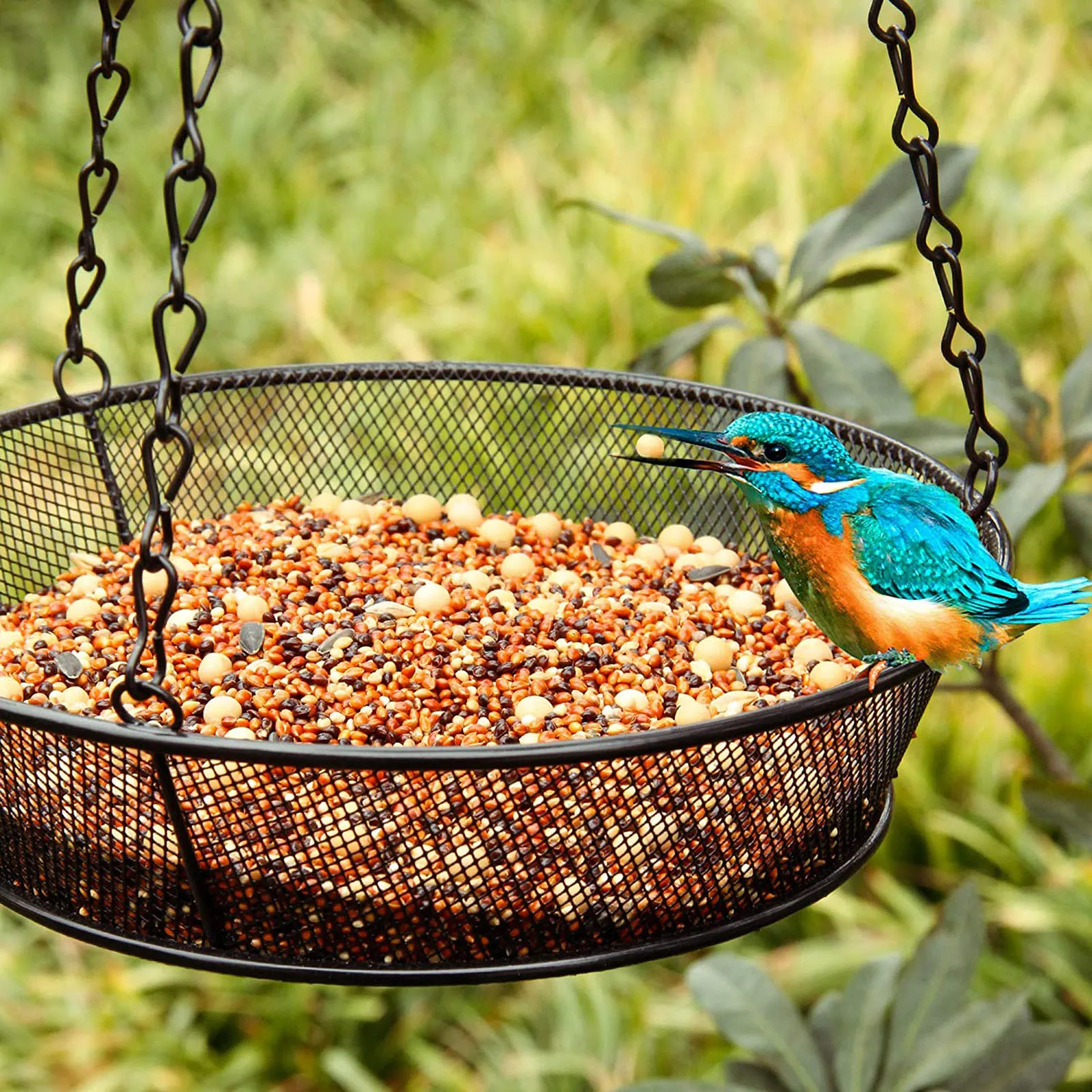 

Courtyard Bird Feeder Courtyard Villa Balcony Hanging Rainproof Bird Feeder #12