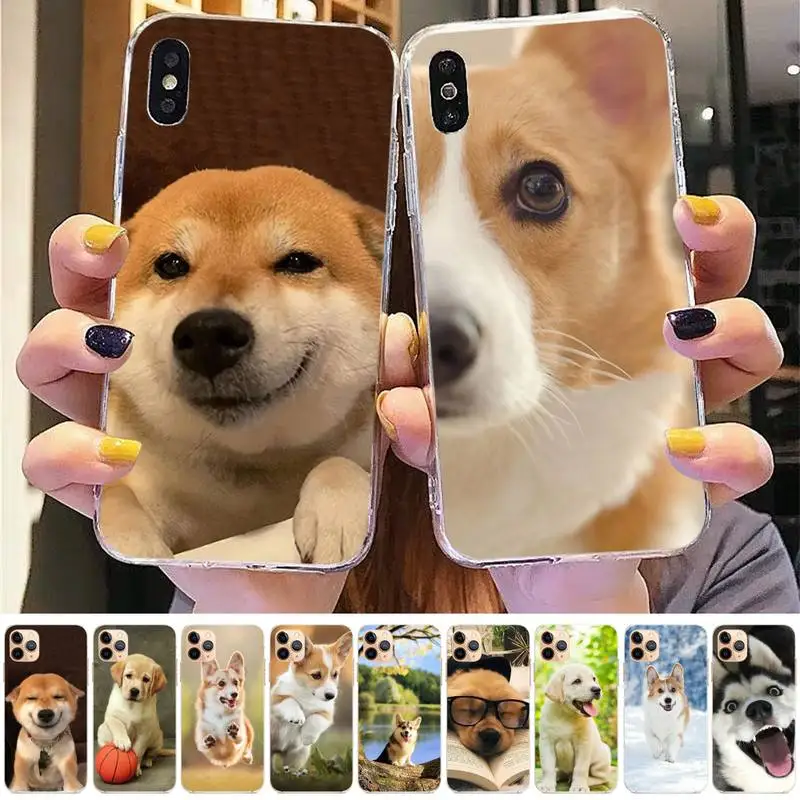 

Cute puppy dog Phone Case for iphone 13 11 12 pro XS MAX 8 7 6 6S Plus X 5S SE 2020 XR case