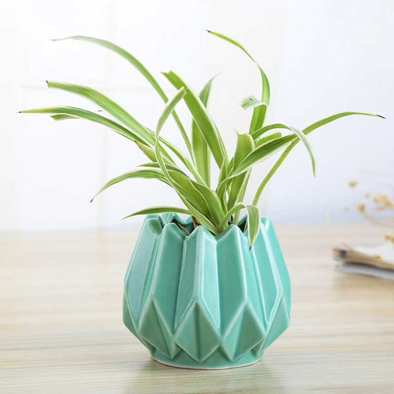 Minimalist Green Plant Hydroponic Vase Iron Holder Ceramic Scindapsus Container Home Living Room Decoration Ornaments | Дом и сад