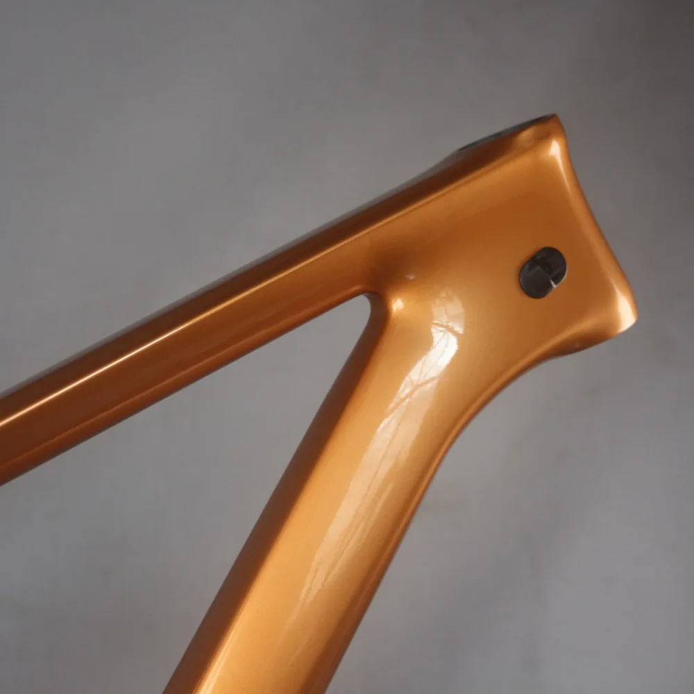 Плоский дисковый тормоз Жесткий хвост краска на заказ углеродное волокно T800 MTB