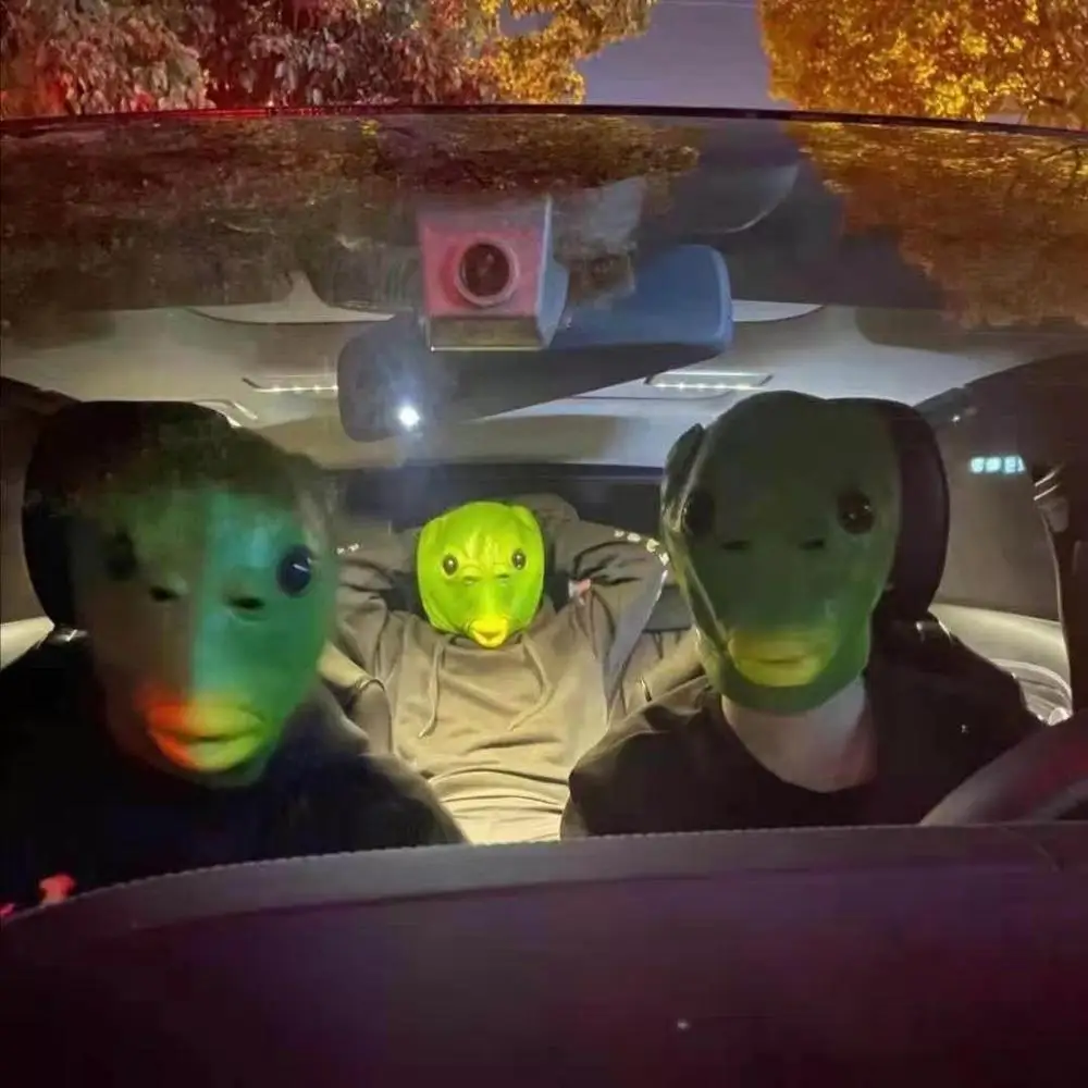 

Fish Mask, Funny Cosplay Costume Headgear Unisex Carnival Party Green Fish Head Cover Headgear, Creepy Latex Face Decoration