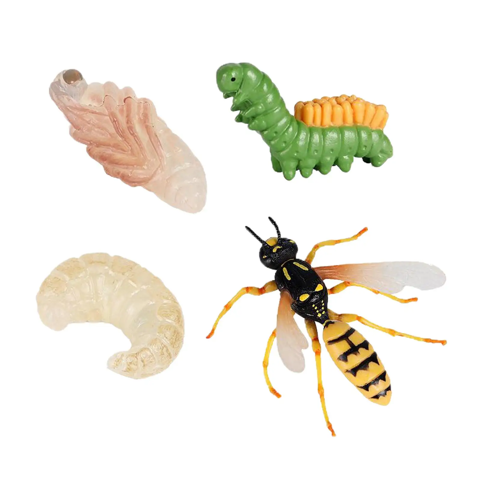 

Lot of 4 Nature Wasp Growth Cycle Child Education Learning Teaching ToysRealistic