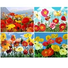 Полная квадратная круглая Алмазная вышивка Pansy Diy алмазная живопись цветок картина Париж мозаика Стразы хобби ручной работы