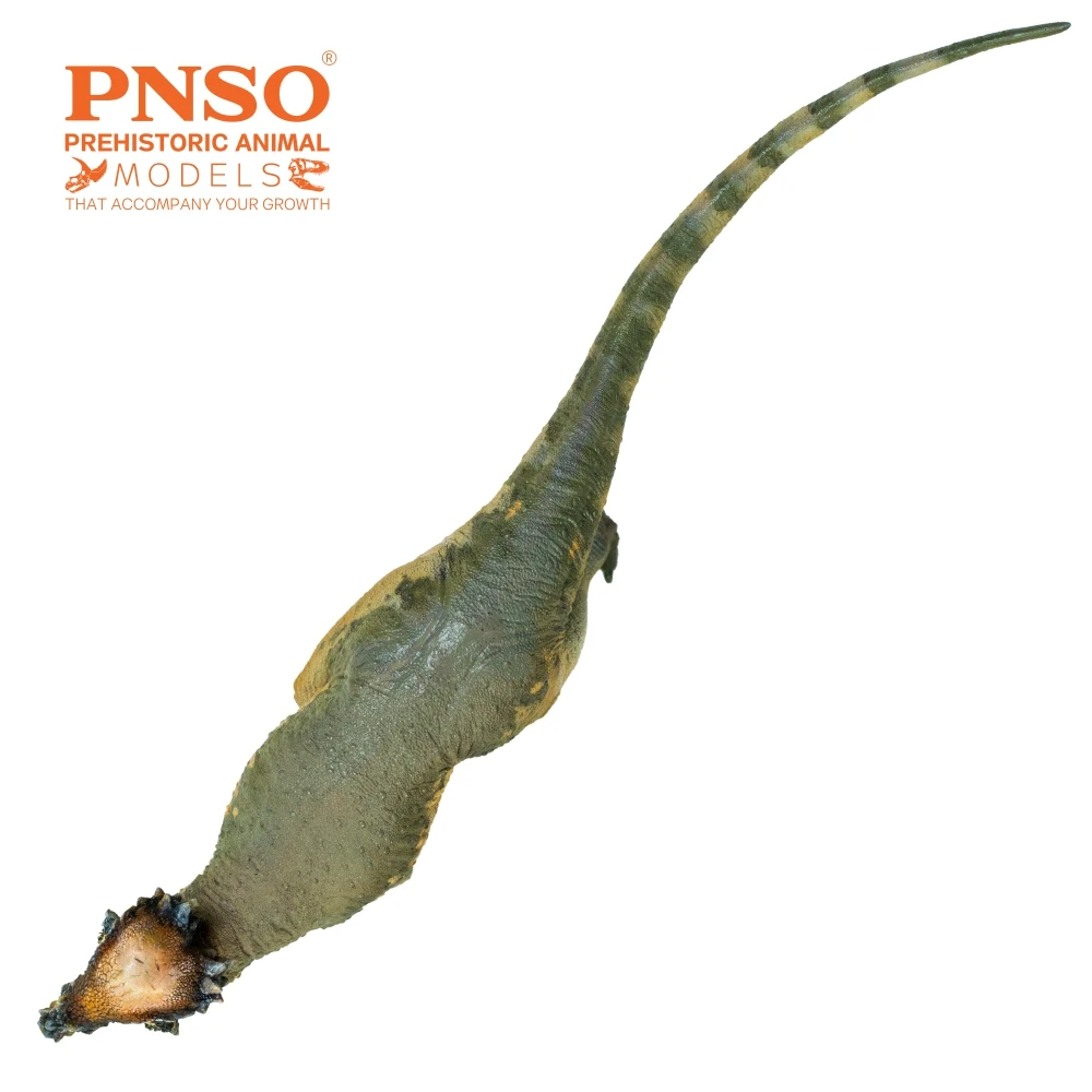 PNSO-dinosaurio prehistorico, modelos: 46, Austin, el paquicefalosaurio-3