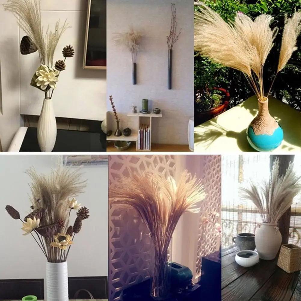 

50 Sticks Light Color Wedding Flowers Bunch Natural Dog Grass Reed Grass Christmas Pampas Home Bunch Decor Flower Tail Drie E8l8