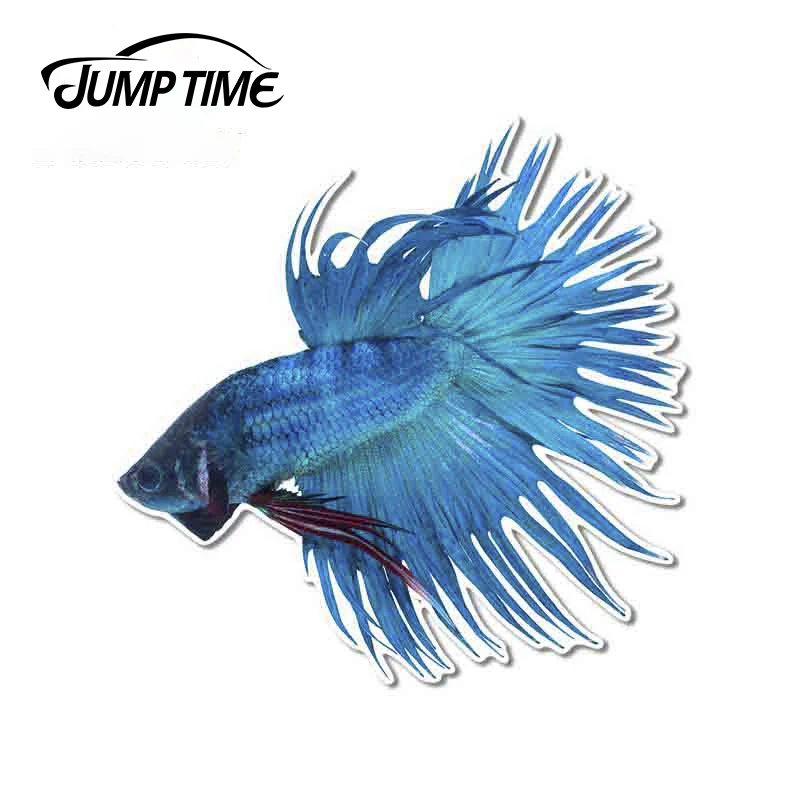 

JumpTime 13x12,6 см виниловые автомобильные наклейки Betta Fish, водонепроницаемые, с защитой от царапин