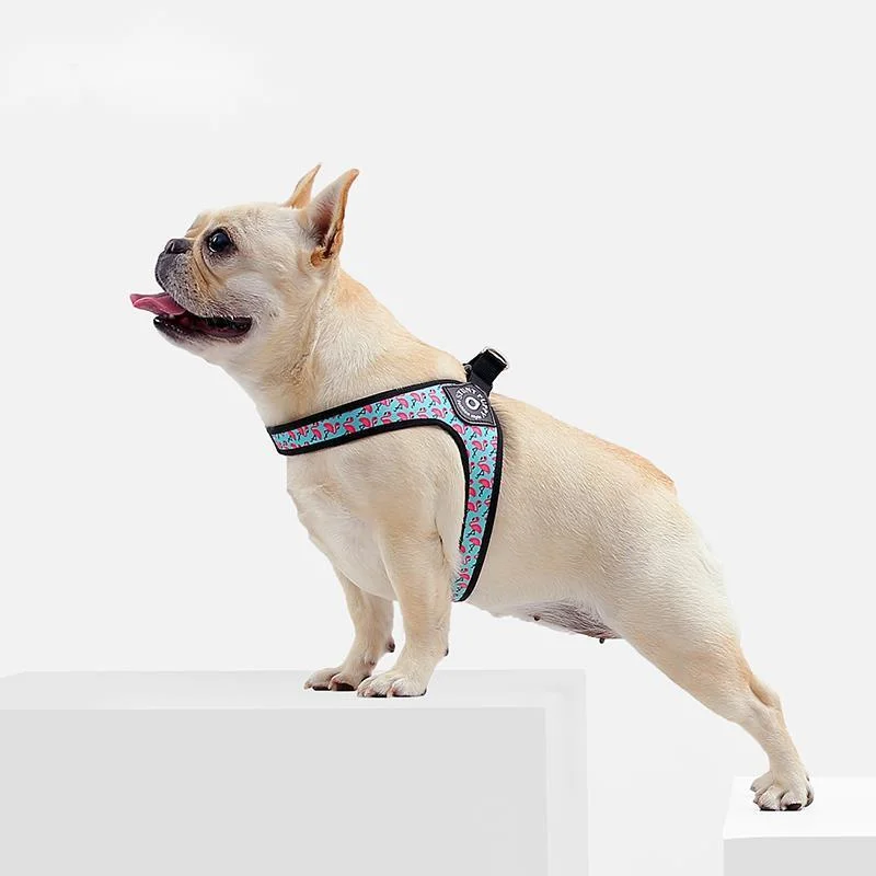 

Stunt Puppy Easy Comfort Dog Harness Printed Flamingo Pattern Small Pet Harnesses Chihuahua Shih Tzu Bull Terrier Dogs Seat Belt