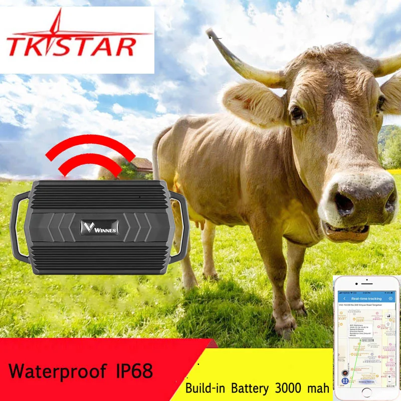 TKSTAR GPS трекер животного для корова верблюд овец TK935 3000 мА/ч локатор