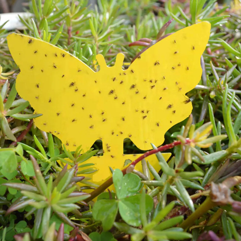 

20pc Glue Trap Catcher Sticky Boards Yellow Sticky Traps Eliminate Flies Insect Bug Garden Glue Paper Board Plant Flycatchers