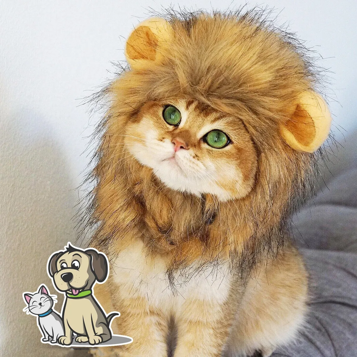 Кот лев. Кот в костюме Льва. Котенок с гривой Льва. Кошка в костюме Льва.