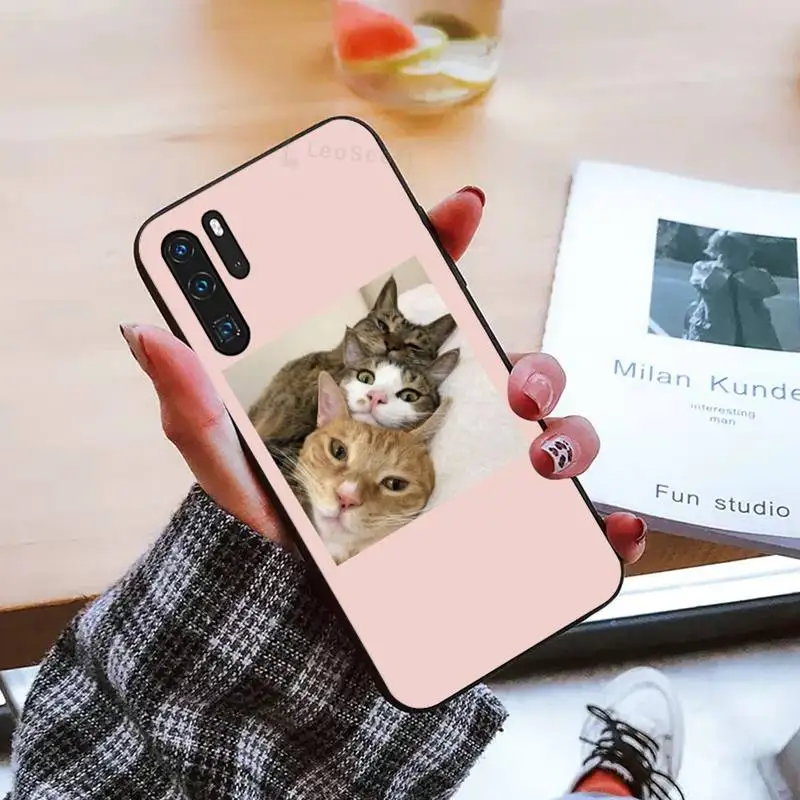 

Aesthetic Cute Animal Cat Phone Cases For Huawei honor Mate mate P 10 9X 10i 20 30 40 y7 lite pro p smart 2019