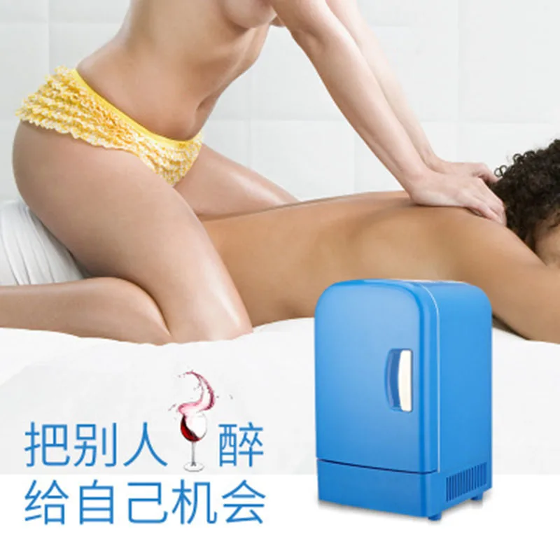 Car home dual-use portable mini semiconductor insulation 4L small refrigerator |